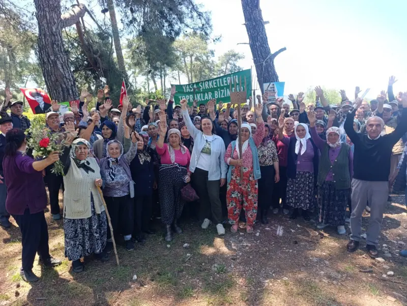 DANIŞTAY ‘DUR’ DEDİ. MİLAS’TA TRAKTÖRLÜ KUTLAMA BAŞLADI!